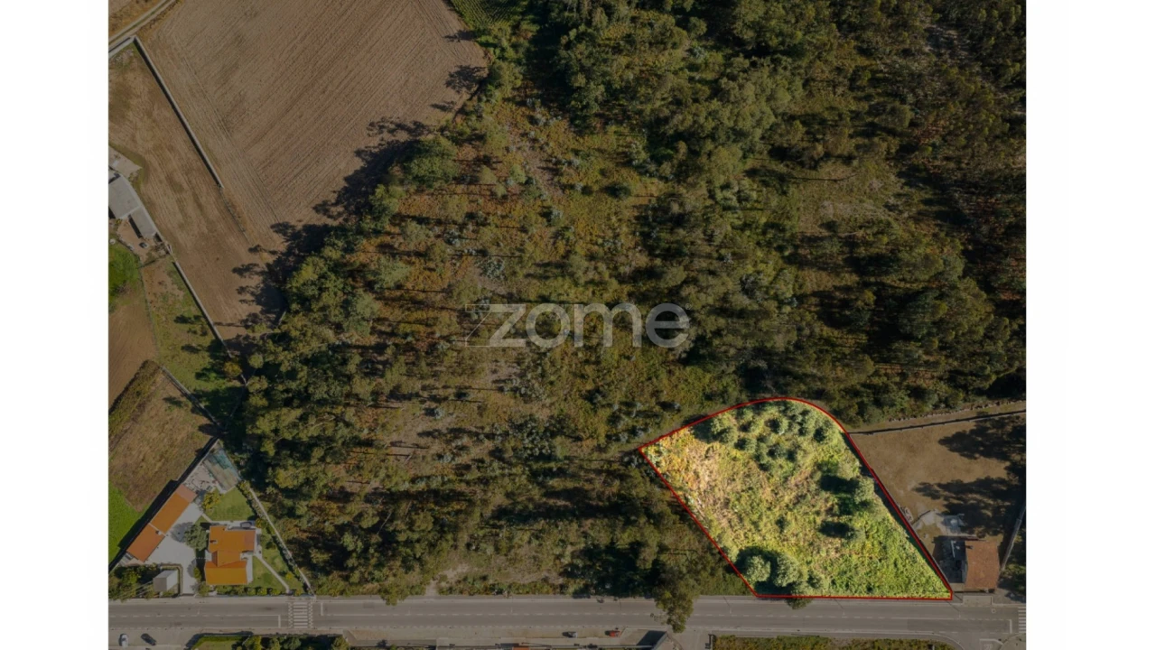 Terreno para Venda em Nogueira e Silva Escura Foto 3