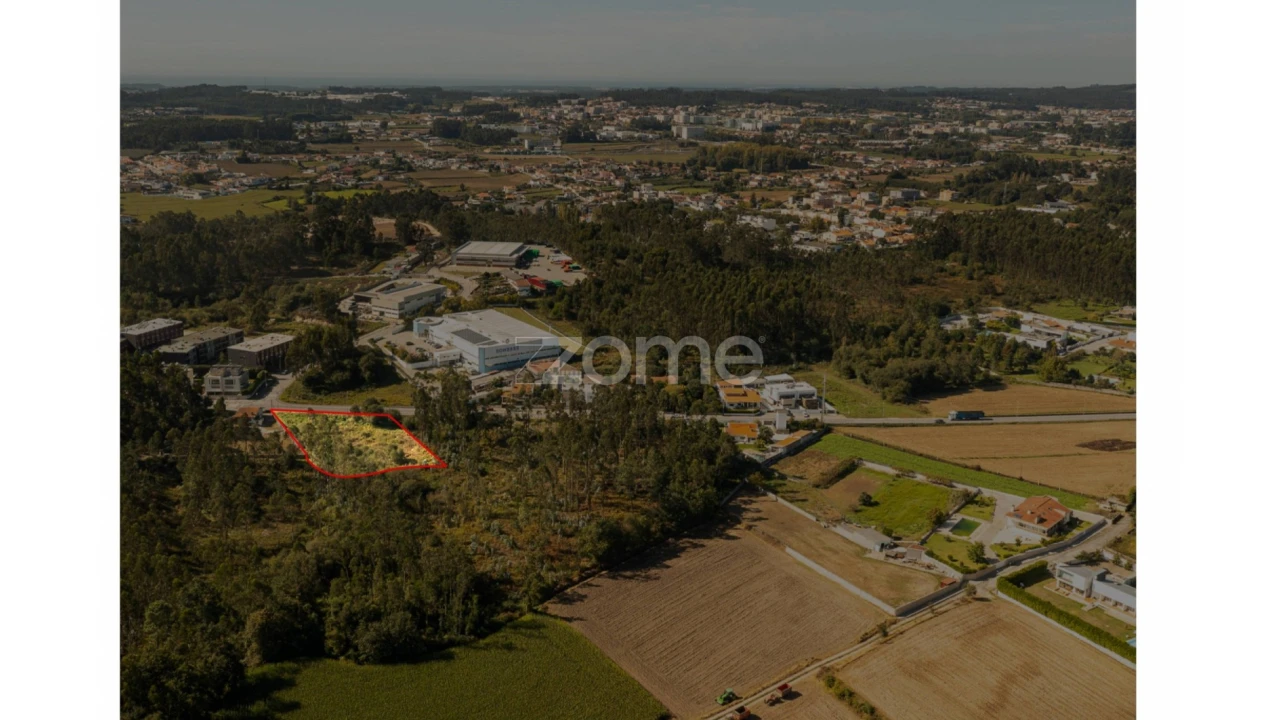 Terreno para Venda em Nogueira e Silva Escura Foto 9