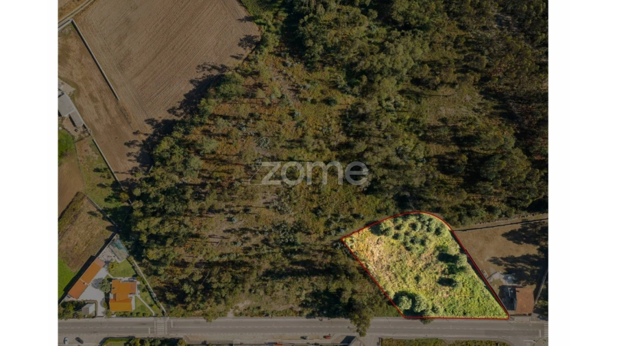 Terreno para Venda em Nogueira e Silva Escura Foto 3