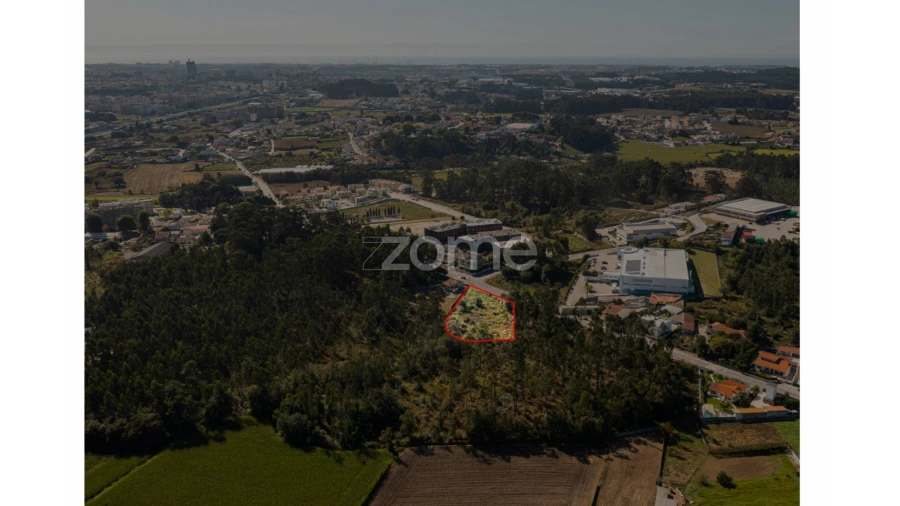 Terreno para Venda em Nogueira e Silva Escura Foto 8