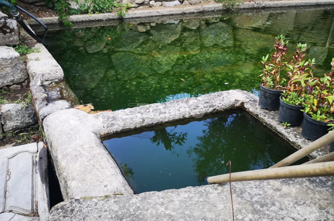 Moradia T4 para Venda em Loivos da Ribeira e Tresouras Foto 56