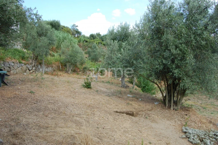 Moradia T4 para Venda em Loivos da Ribeira e Tresouras Foto 27