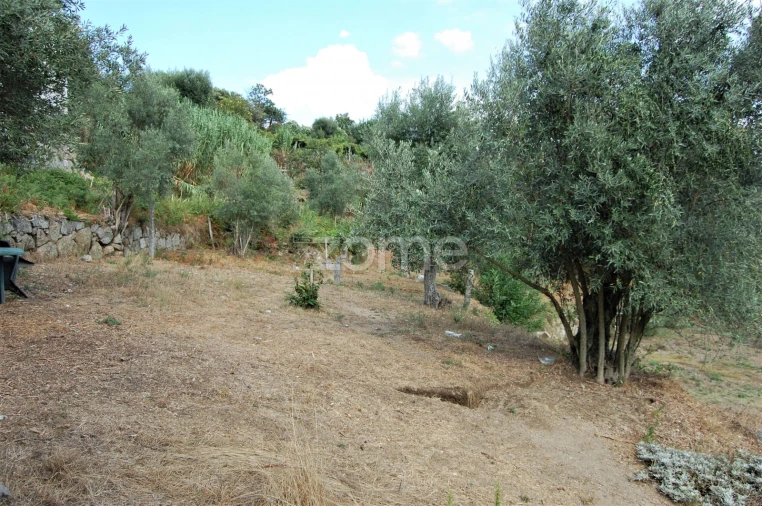 Moradia T4 para Venda em Loivos da Ribeira e Tresouras Foto 64