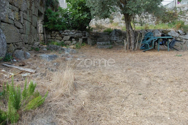 Moradia T4 para Venda em Loivos da Ribeira e Tresouras Foto 17