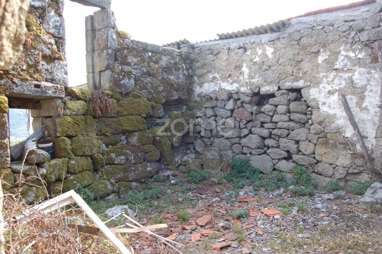 Moradia T4 para Venda em Loivos da Ribeira e Tresouras Foto 19