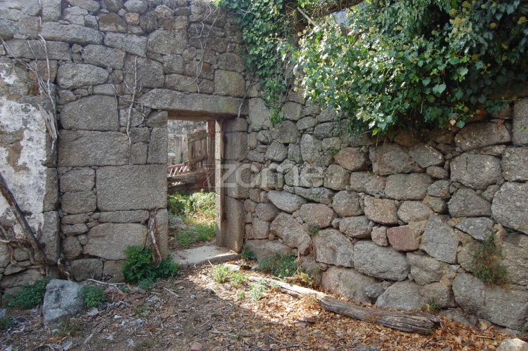 Moradia T4 para Venda em Loivos da Ribeira e Tresouras Foto 21