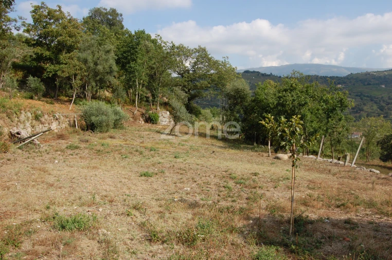 Moradia T4 para Venda em Loivos da Ribeira e Tresouras Foto 28