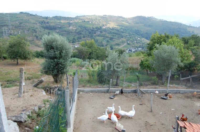 Moradia T4 para Venda em Loivos da Ribeira e Tresouras Foto 33