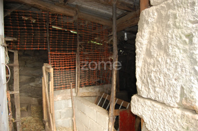 Moradia T4 para Venda em Loivos da Ribeira e Tresouras Foto 49