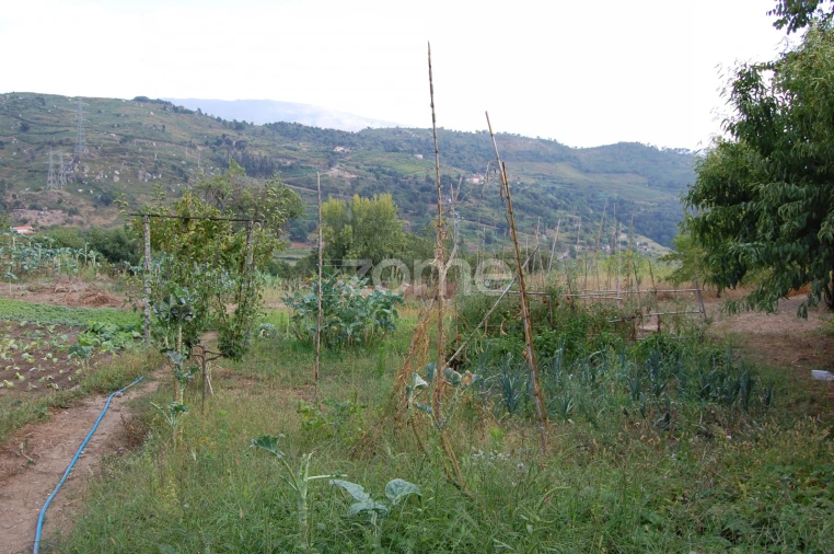 Moradia T4 para Venda em Loivos da Ribeira e Tresouras Foto 38