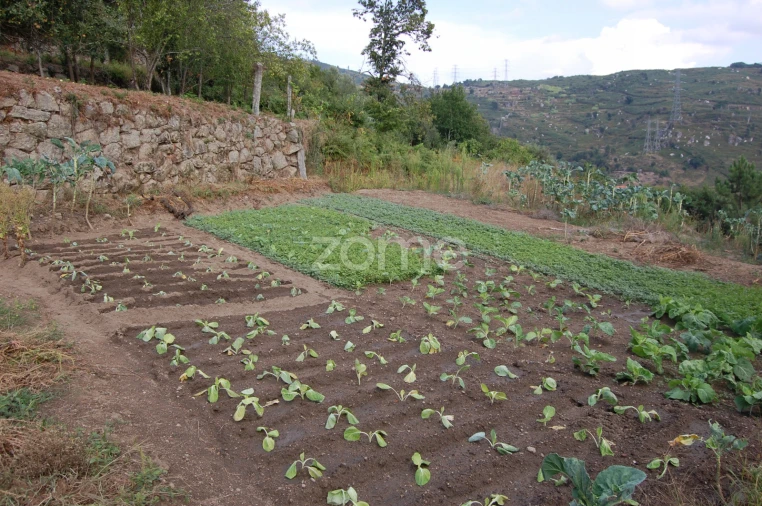 Moradia T4 para Venda em Loivos da Ribeira e Tresouras Foto 39