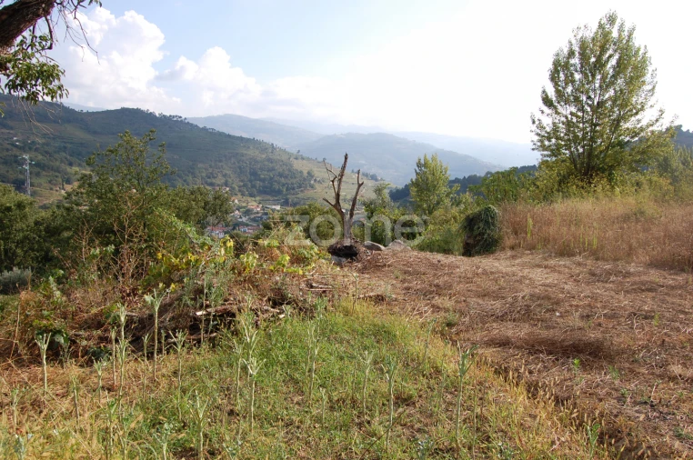 Moradia T4 para Venda em Loivos da Ribeira e Tresouras Foto 43