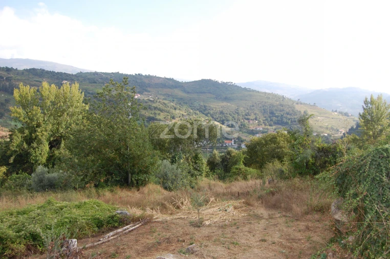 Moradia T4 para Venda em Loivos da Ribeira e Tresouras Foto 44