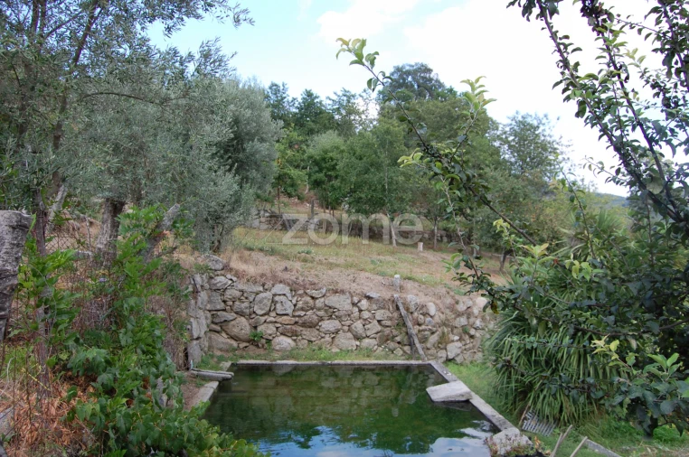 Moradia T4 para Venda em Loivos da Ribeira e Tresouras Foto 35