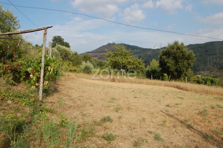 Moradia T4 para Venda em Loivos da Ribeira e Tresouras Foto 53