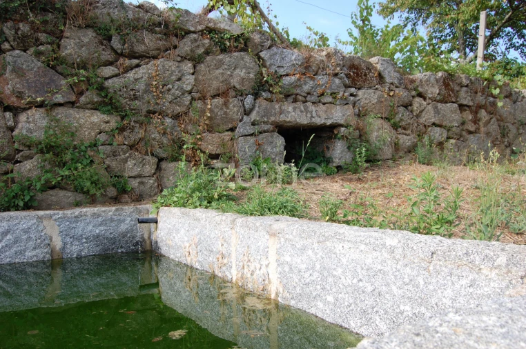 Moradia T4 para Venda em Loivos da Ribeira e Tresouras Foto 57