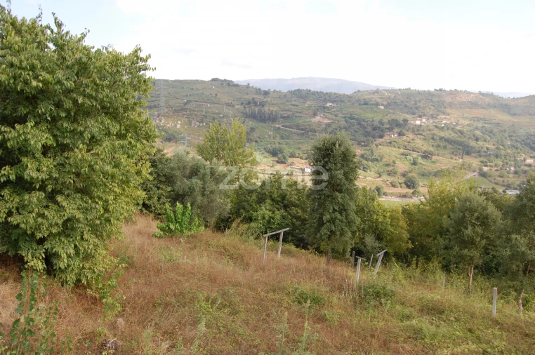 Moradia T4 para Venda em Loivos da Ribeira e Tresouras Foto 60