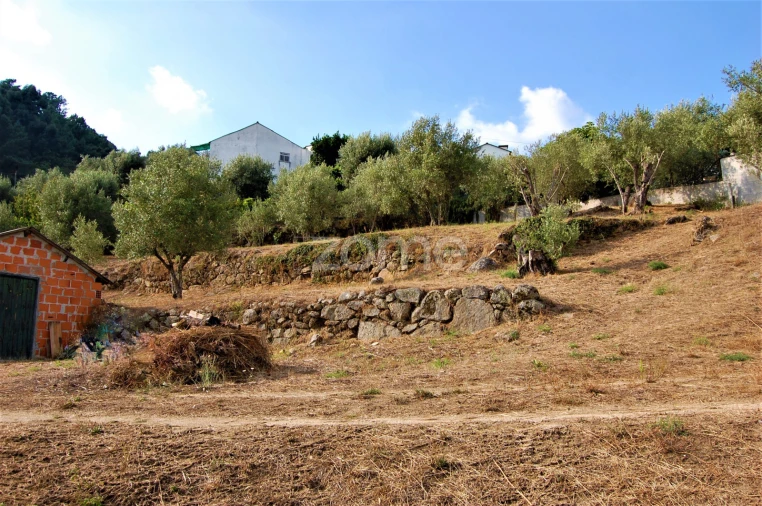 Moradia T4 para Venda em Loivos da Ribeira e Tresouras Foto 61