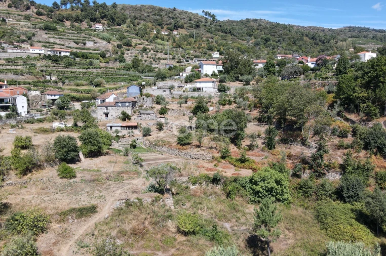 Moradia T4 para Venda em Loivos da Ribeira e Tresouras Foto 2