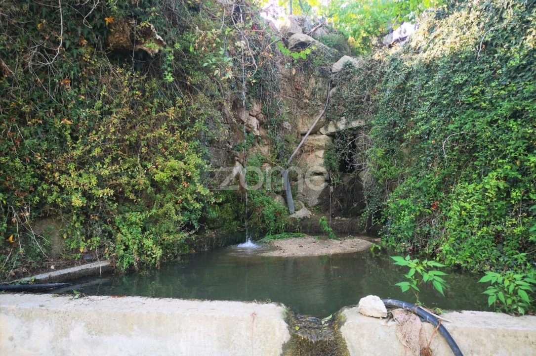 Moradia T4 para Venda em Loivos da Ribeira e Tresouras Foto 63