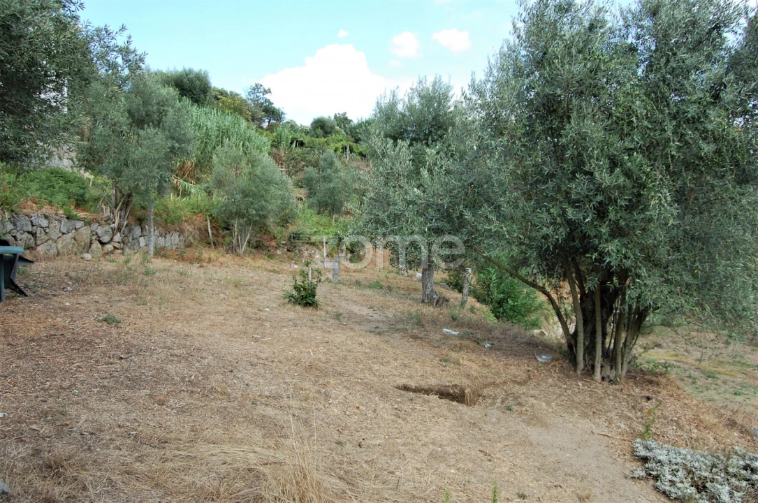 Moradia T4 para Venda em Loivos da Ribeira e Tresouras Foto 64