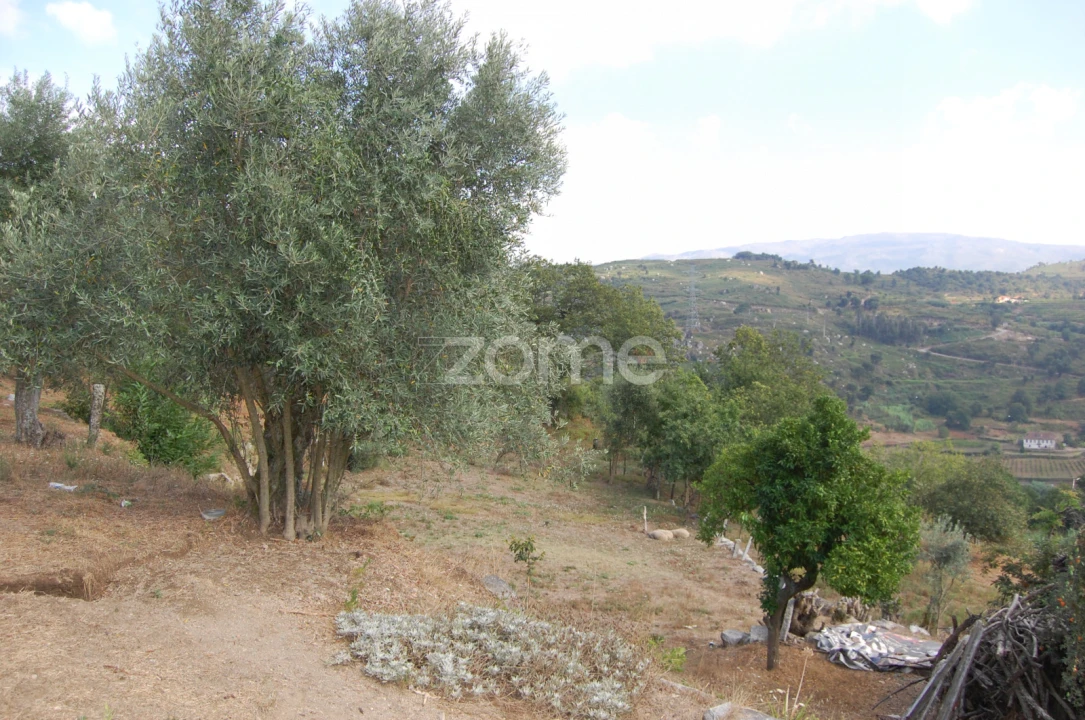 Moradia T4 para Venda em Loivos da Ribeira e Tresouras Foto 29