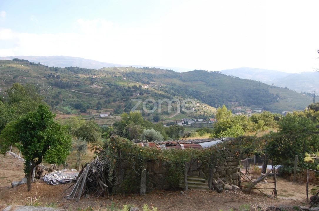 Moradia T4 para Venda em Loivos da Ribeira e Tresouras Foto 25