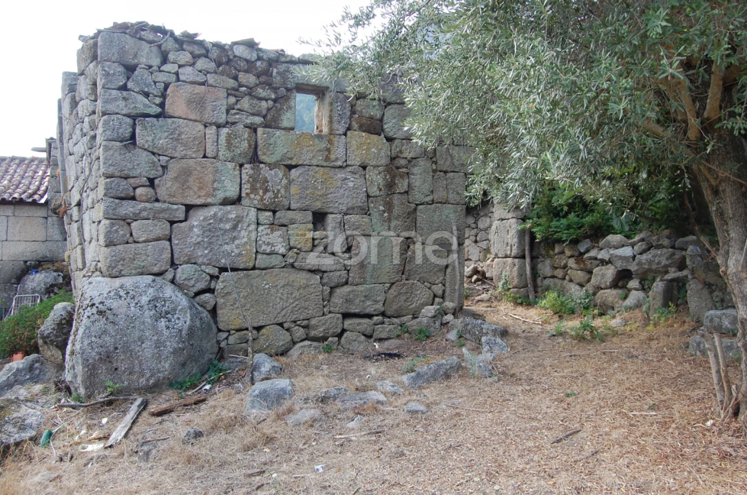 Moradia T4 para Venda em Loivos da Ribeira e Tresouras Foto 18