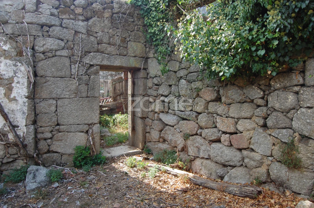 Moradia T4 para Venda em Loivos da Ribeira e Tresouras Foto 21