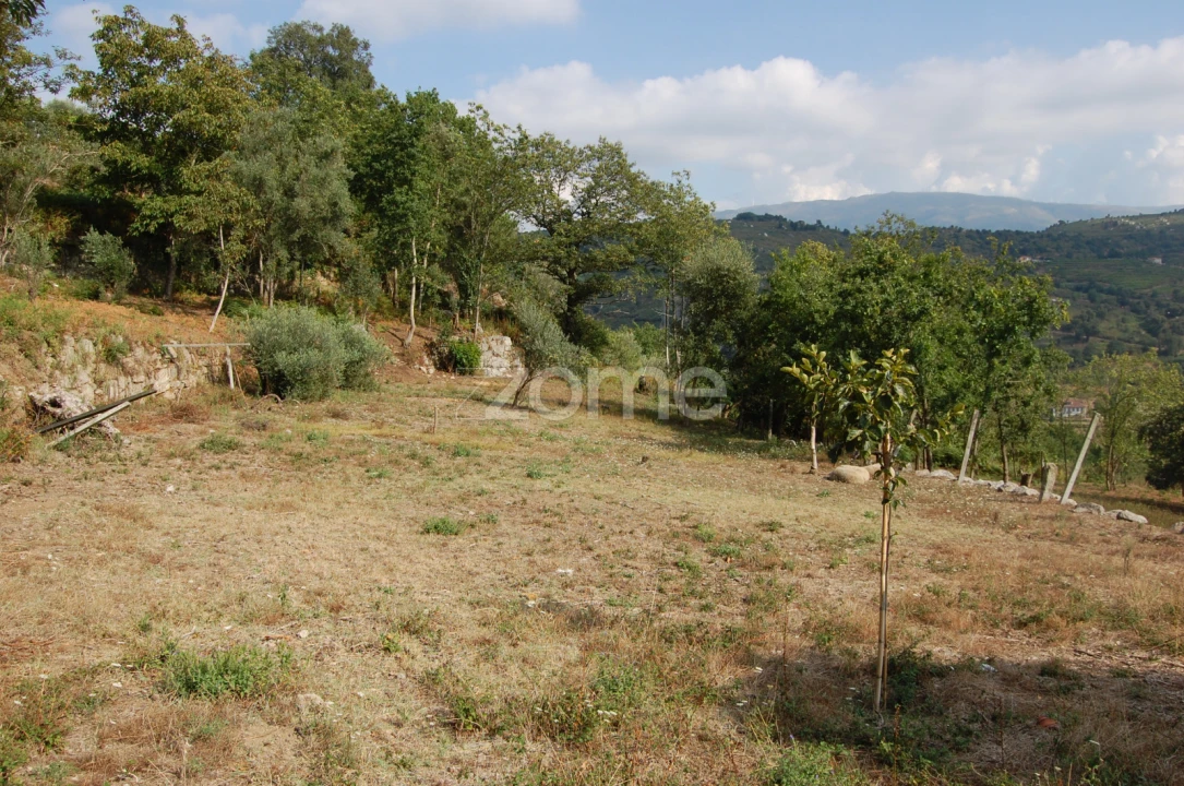 Moradia T4 para Venda em Loivos da Ribeira e Tresouras Foto 28