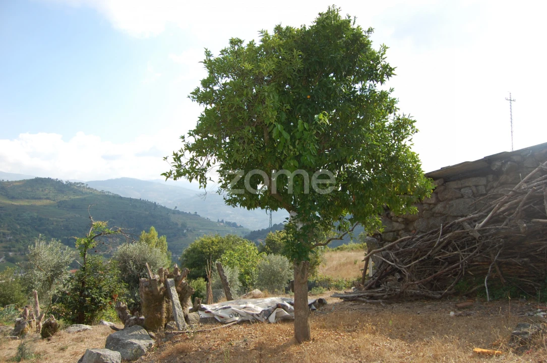 Moradia T4 para Venda em Loivos da Ribeira e Tresouras Foto 24