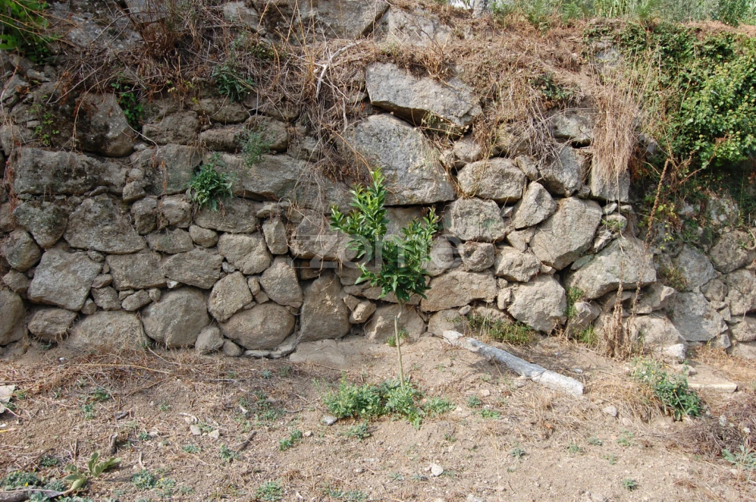 Moradia T4 para Venda em Loivos da Ribeira e Tresouras Foto 23