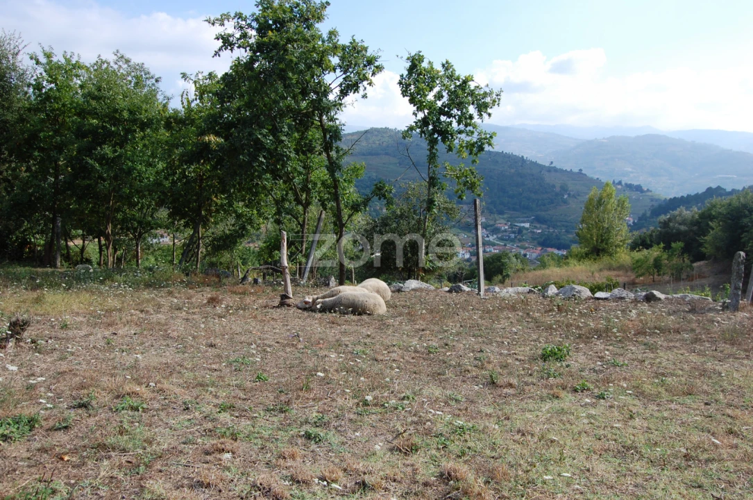 Moradia T4 para Venda em Loivos da Ribeira e Tresouras Foto 26