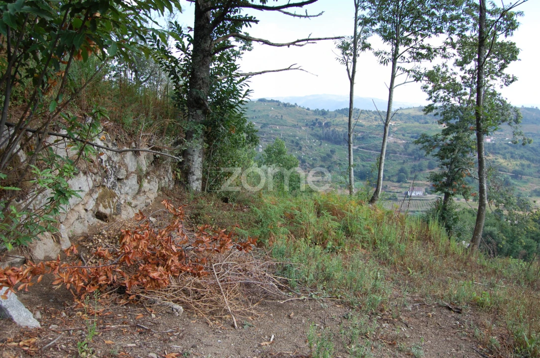 Moradia T4 para Venda em Loivos da Ribeira e Tresouras Foto 30