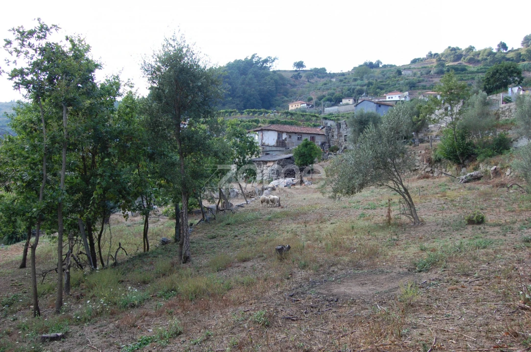Moradia T4 para Venda em Loivos da Ribeira e Tresouras Foto 31