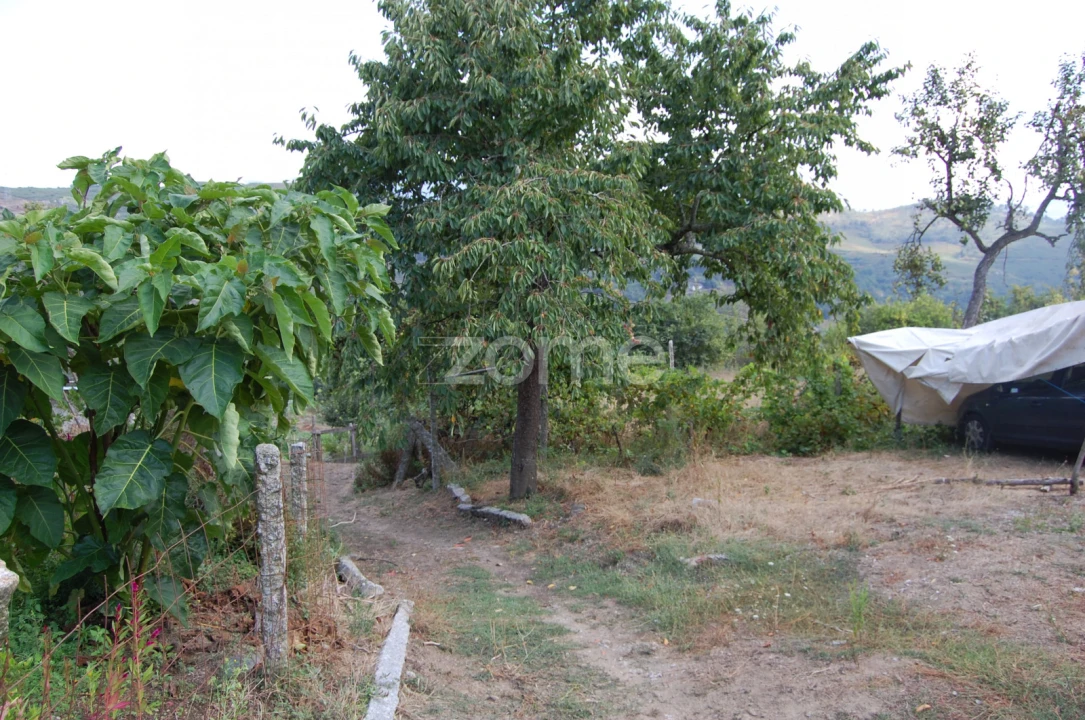 Moradia T4 para Venda em Loivos da Ribeira e Tresouras Foto 34