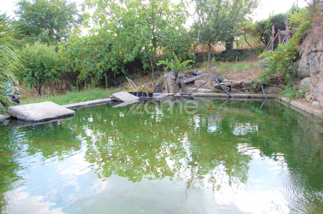 Moradia T4 para Venda em Loivos da Ribeira e Tresouras Foto 37