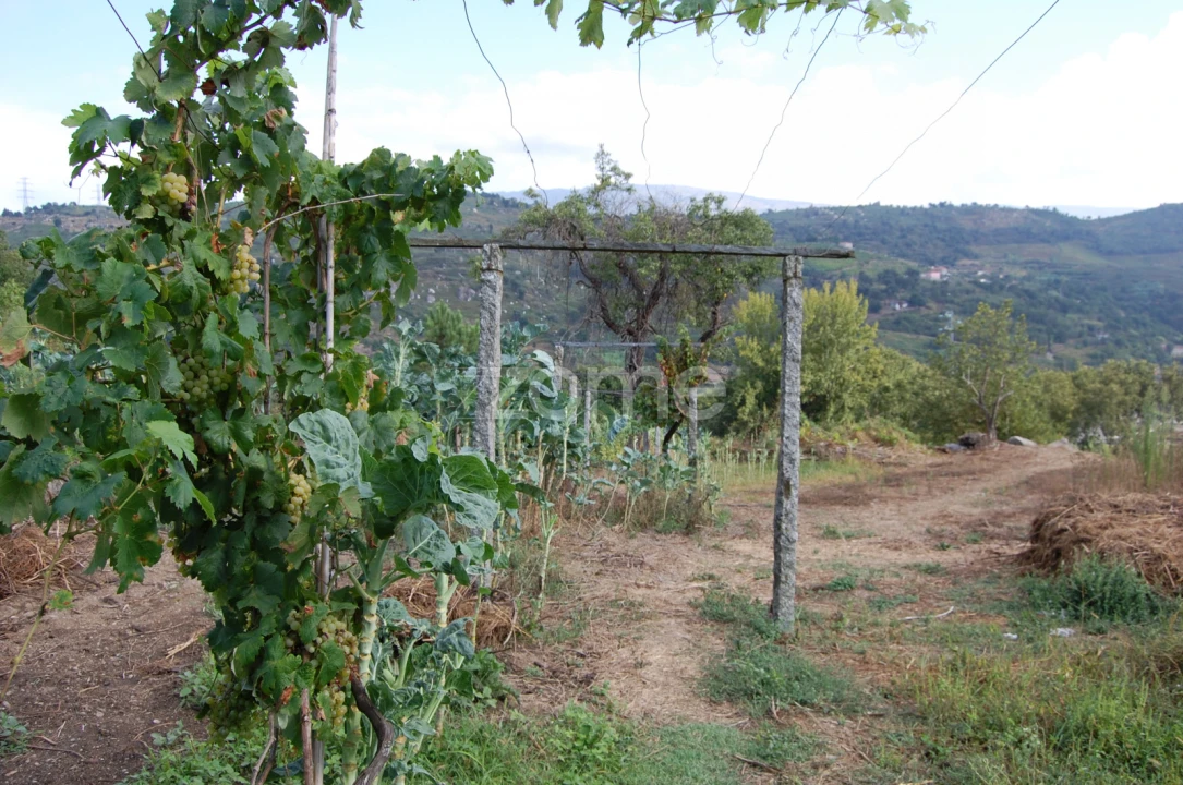 Moradia T4 para Venda em Loivos da Ribeira e Tresouras Foto 41