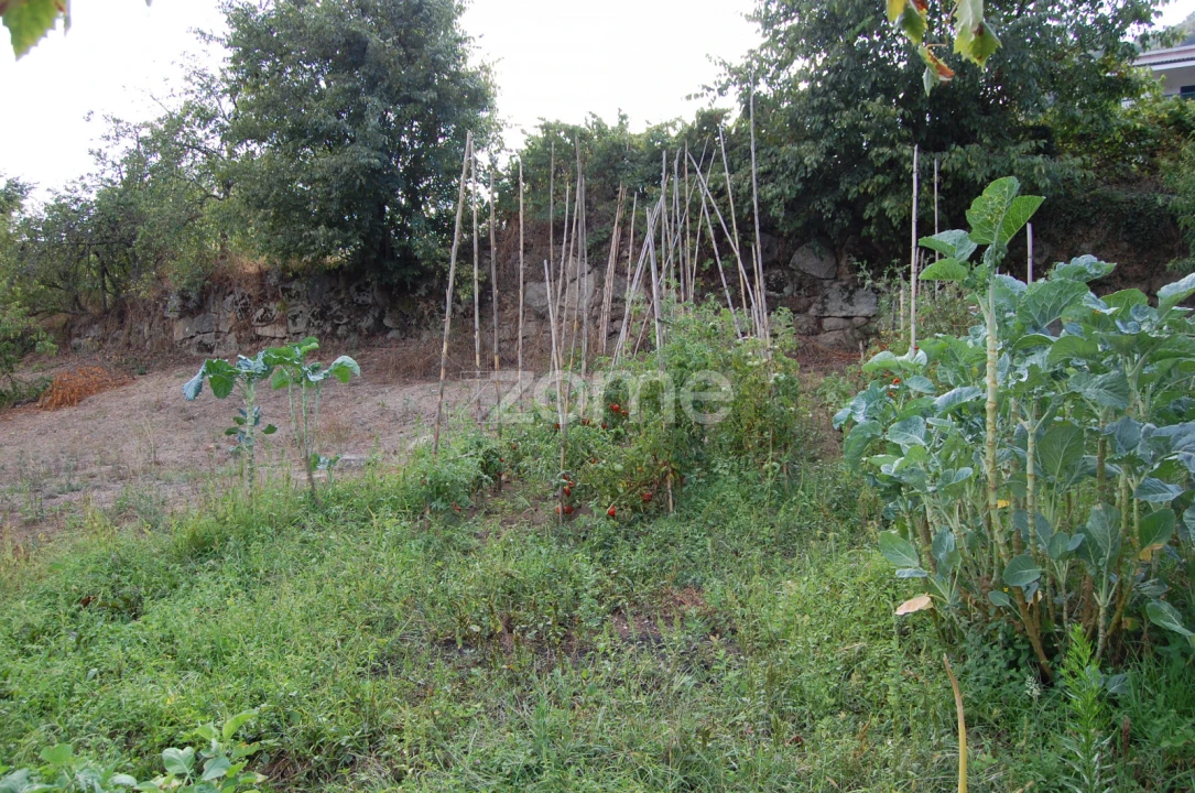 Moradia T4 para Venda em Loivos da Ribeira e Tresouras Foto 42