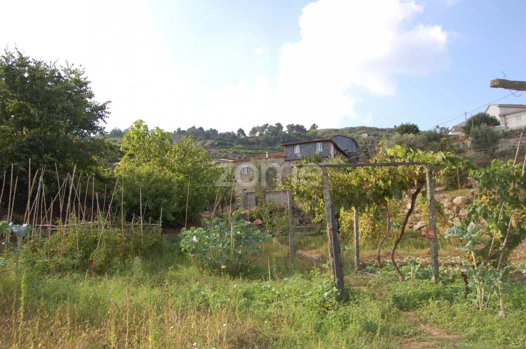Moradia T4 para Venda em Loivos da Ribeira e Tresouras Foto 45
