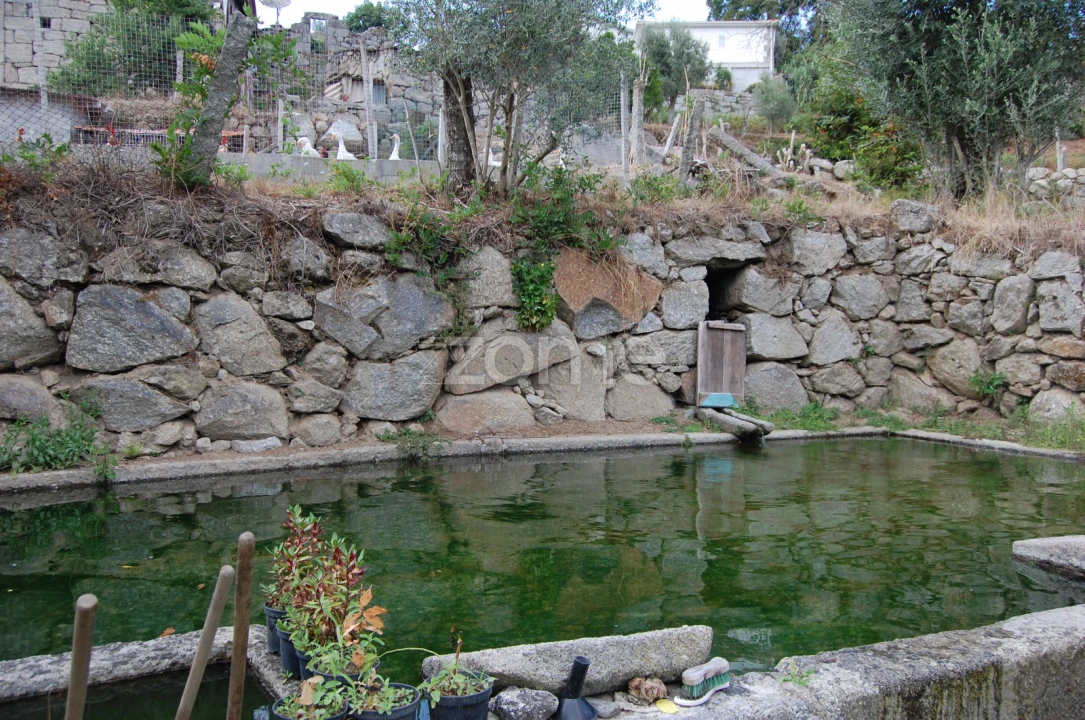 Moradia T4 para Venda em Loivos da Ribeira e Tresouras Foto 36