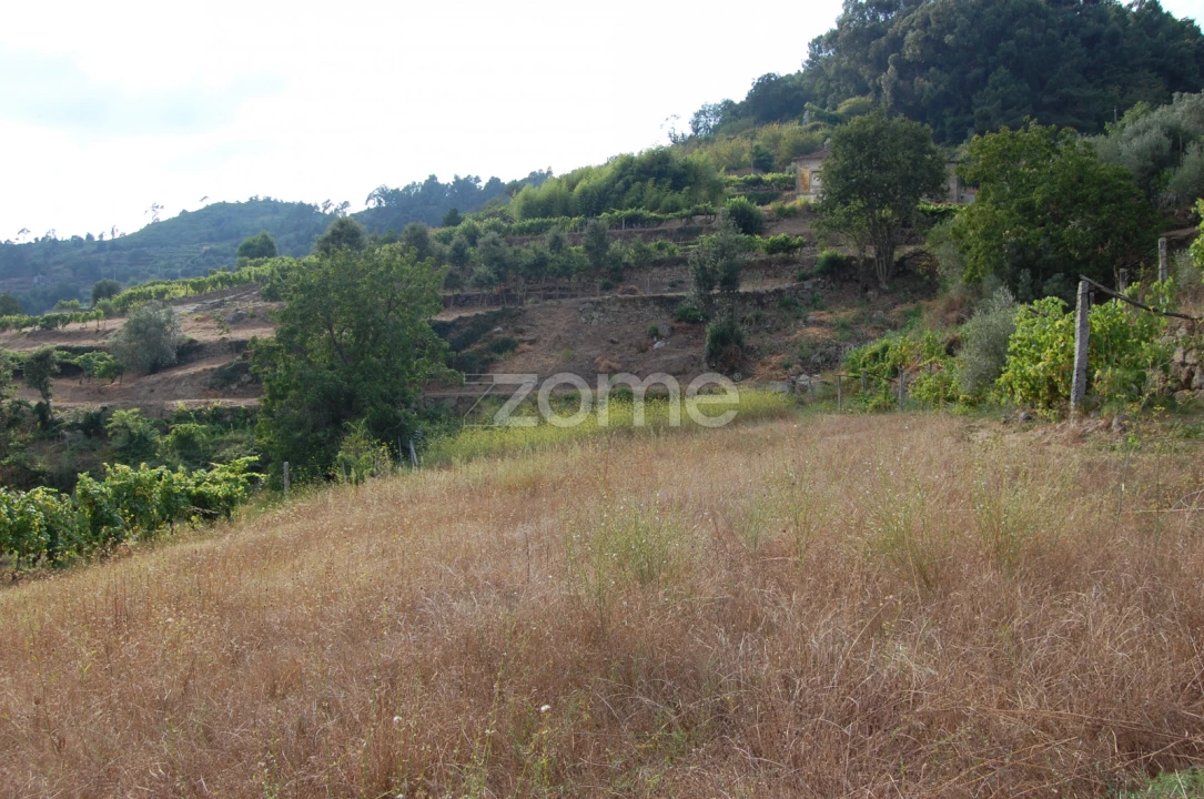 Moradia T4 para Venda em Loivos da Ribeira e Tresouras Foto 55