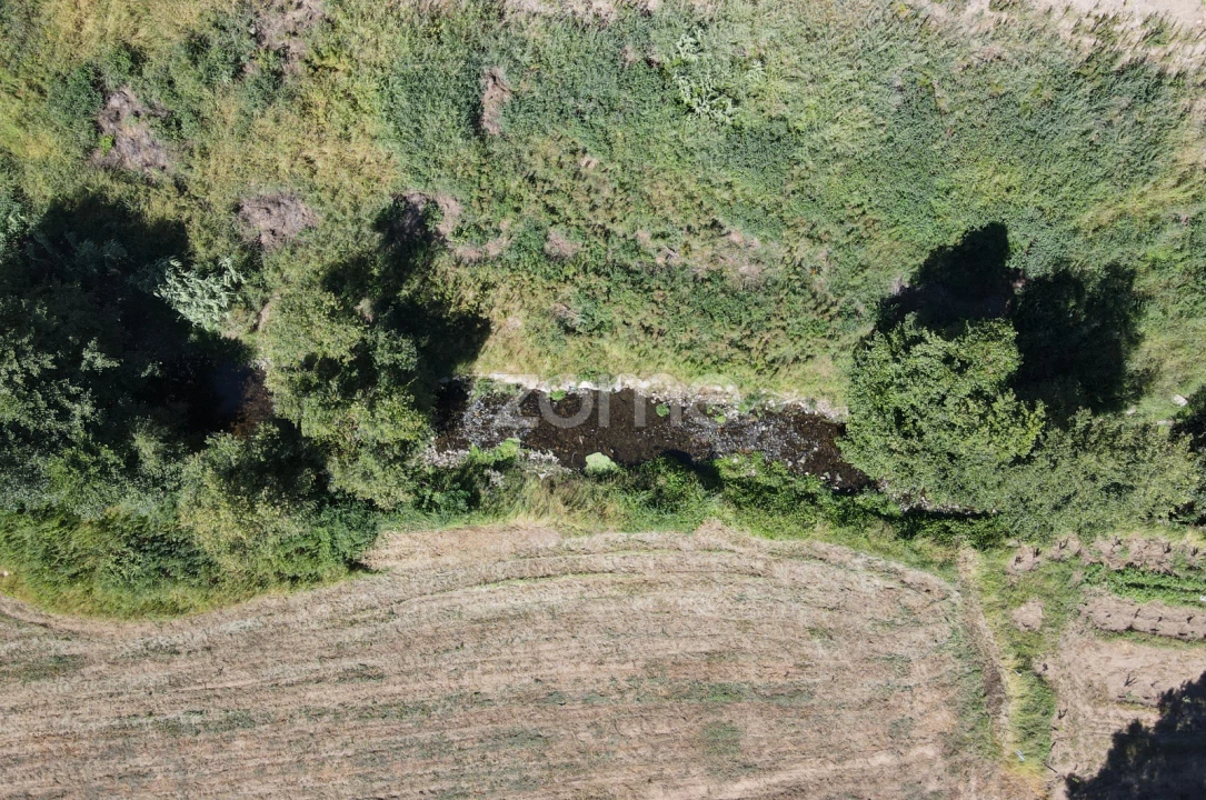 Moradia T4 para Venda em Loivos da Ribeira e Tresouras Foto 69