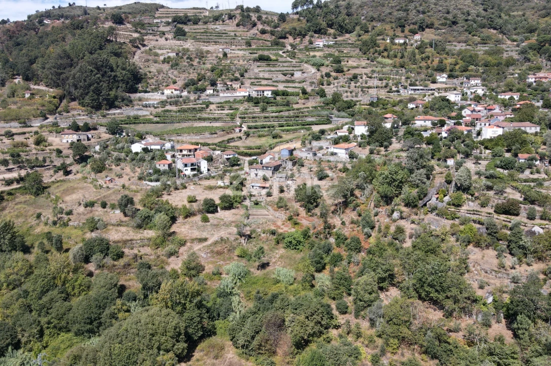 Moradia T4 para Venda em Loivos da Ribeira e Tresouras Foto 70