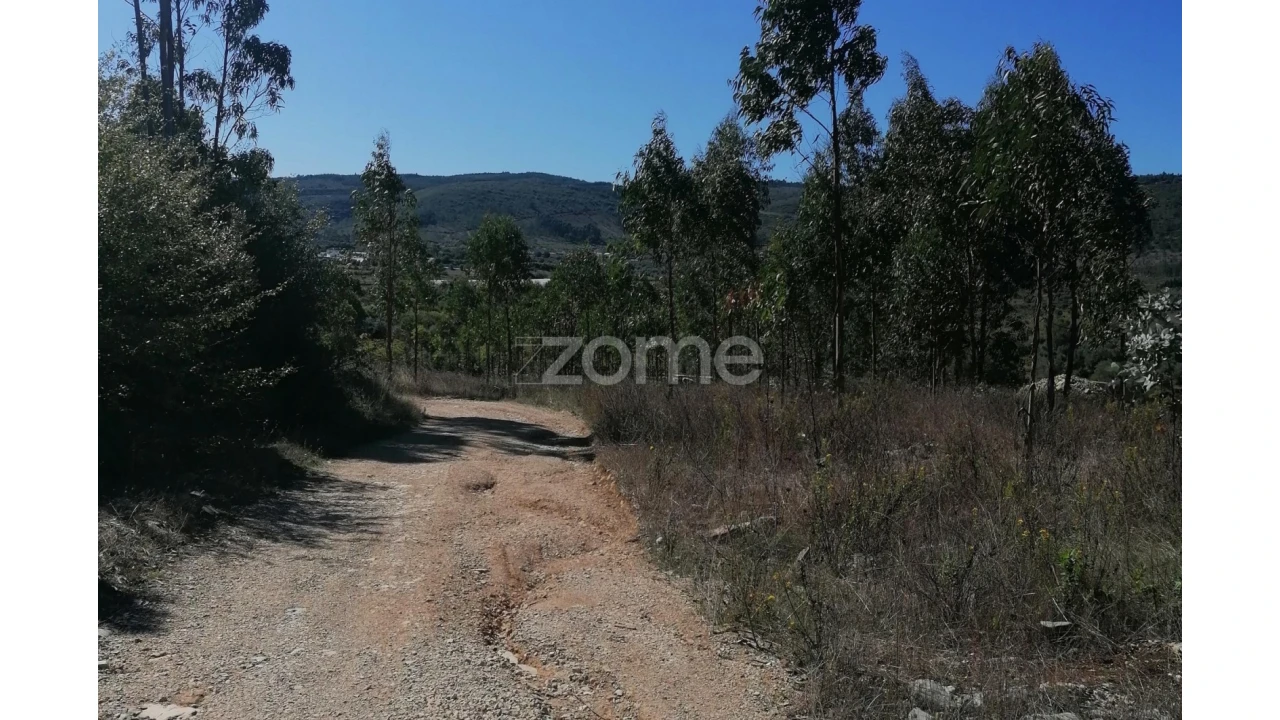 Terreno para Venda em Condeixa-A-Velha e Condeixa-A-Nova Foto 11