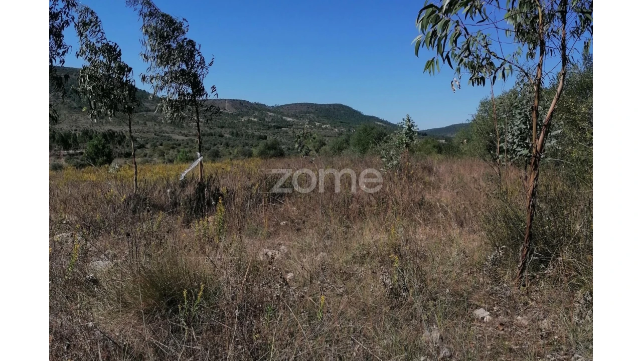 Terreno para Venda em Condeixa-A-Velha e Condeixa-A-Nova Foto 10
