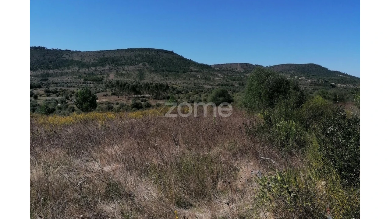 Terreno para Venda em Condeixa-A-Velha e Condeixa-A-Nova Foto 12