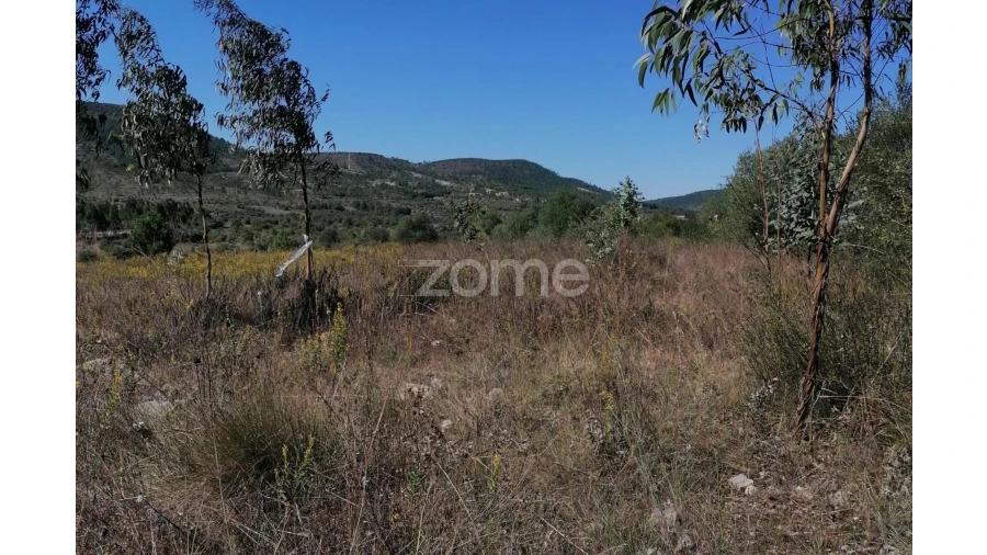 Terreno para Venda em Condeixa-A-Velha e Condeixa-A-Nova Foto 10