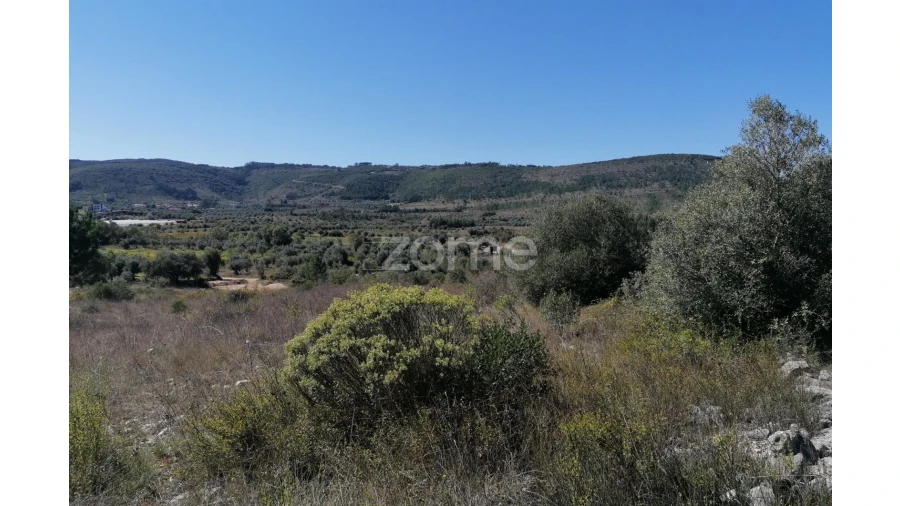 Terreno para Venda em Condeixa-A-Velha e Condeixa-A-Nova Foto 15