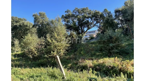 Terreno para Venda em Rio Tinto